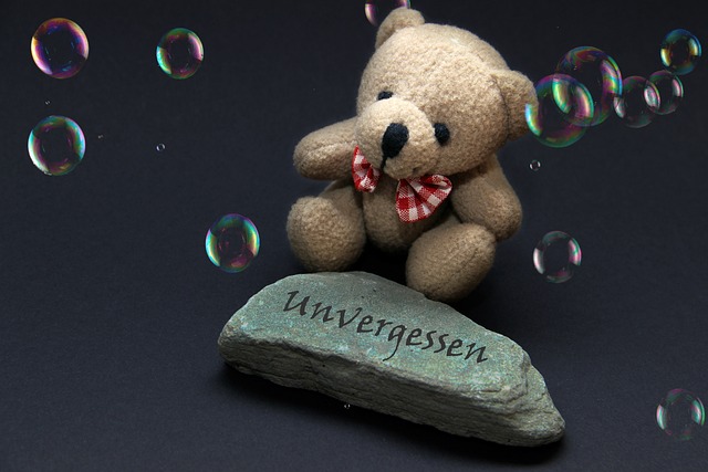 Ein Teddybär sitzt auf einem Felsen mit Blasen und erforscht das Tabuthema des Todes.
